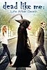 Primary photo for Dead Like Me: Life After Death Primary photo for Dead Like Me: Life After Death