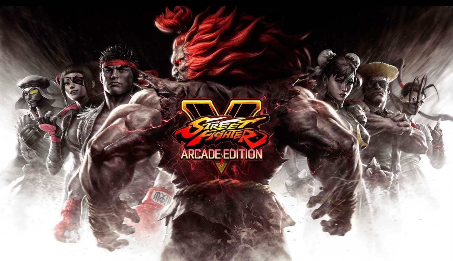 PS4 ストーリートファイターV アーケードエディション 非売品