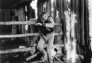 पोस्टर देखें