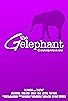 Primary photo for The Gelephant Primary photo for The Gelephant