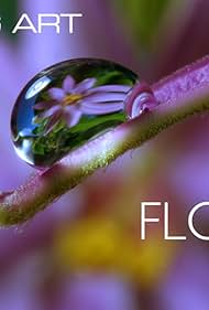 その他 Artbeats Timelapse Flowers 1 1.jpg