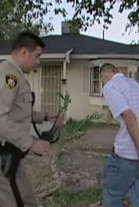 Primary photo for Stupid Behavior #2 Special Edition