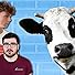 Primary photo for Who Left These Cows On The Baseball Field