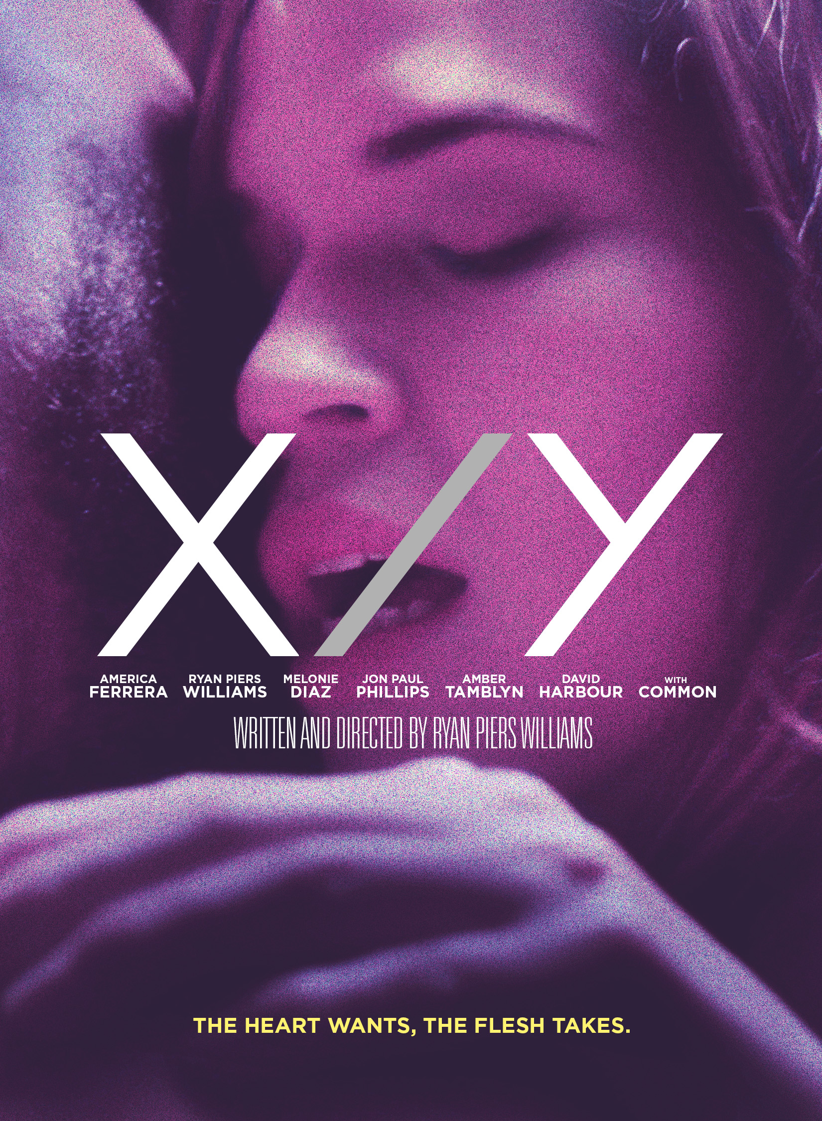 X Y 2014 