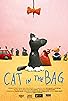 Primary photo for Cat in the Bag