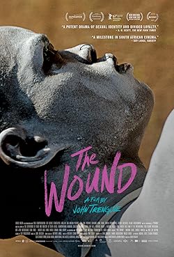 Poster of The Wound