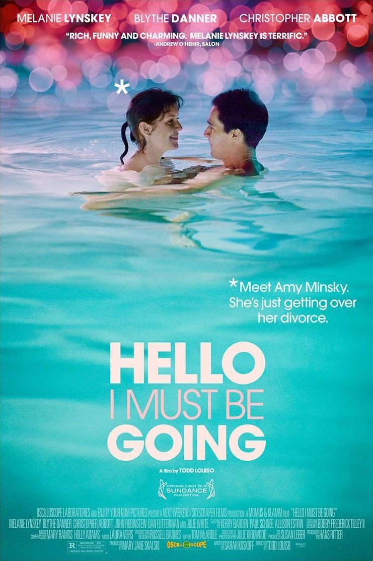Poster of Hello I Must Be Going