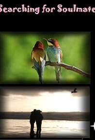 Primary photo for Searching for soulmate