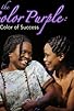 Primary photo for The Color Purple: The Color of Success Primary photo for The Color Purple: The Color of Success