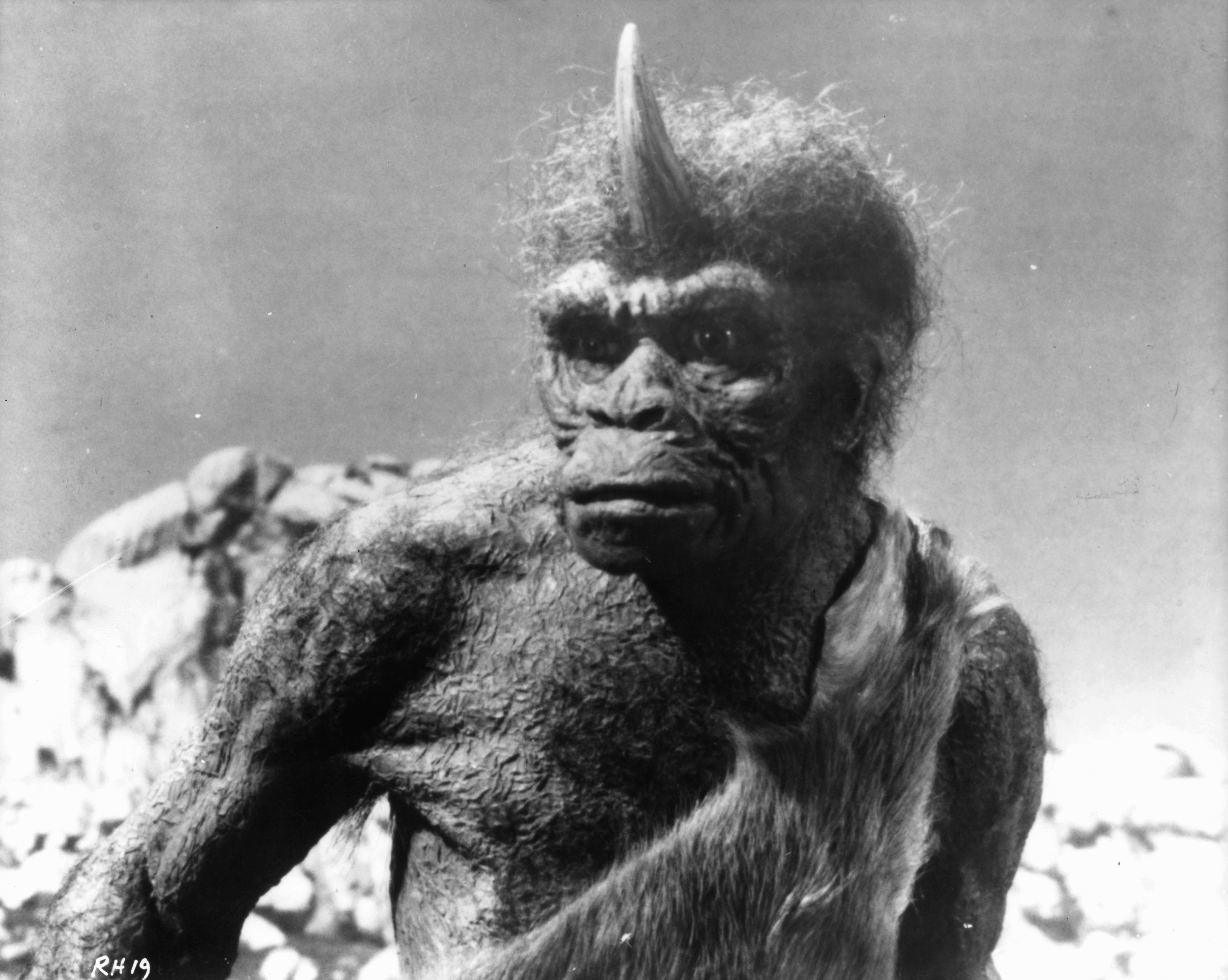 Falta el título de la foto.