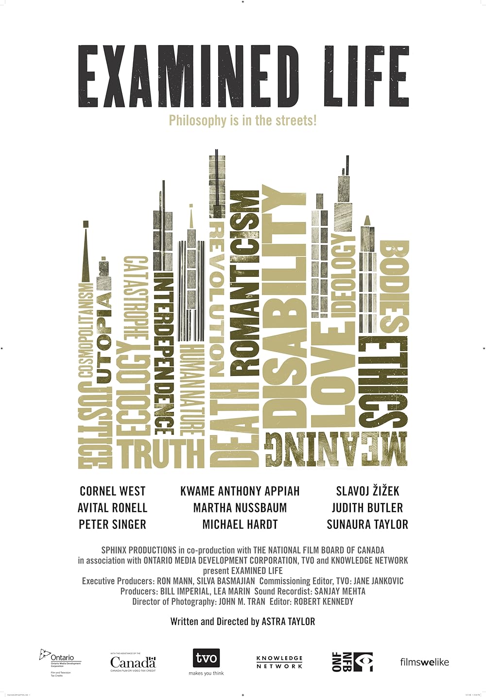 исследуемая жизнь. что такое гипотеза в исследовательской работе. исследуемая жизнь. фильм полет длиною в жизнь" сша 2018. математика в жизни человека гипотеза.