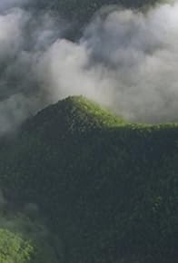 Primary photo for Great Smoky Mountains
