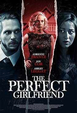Poster of The Perfect Girlfriend