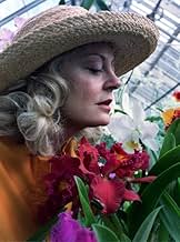 पोस्टर देखें