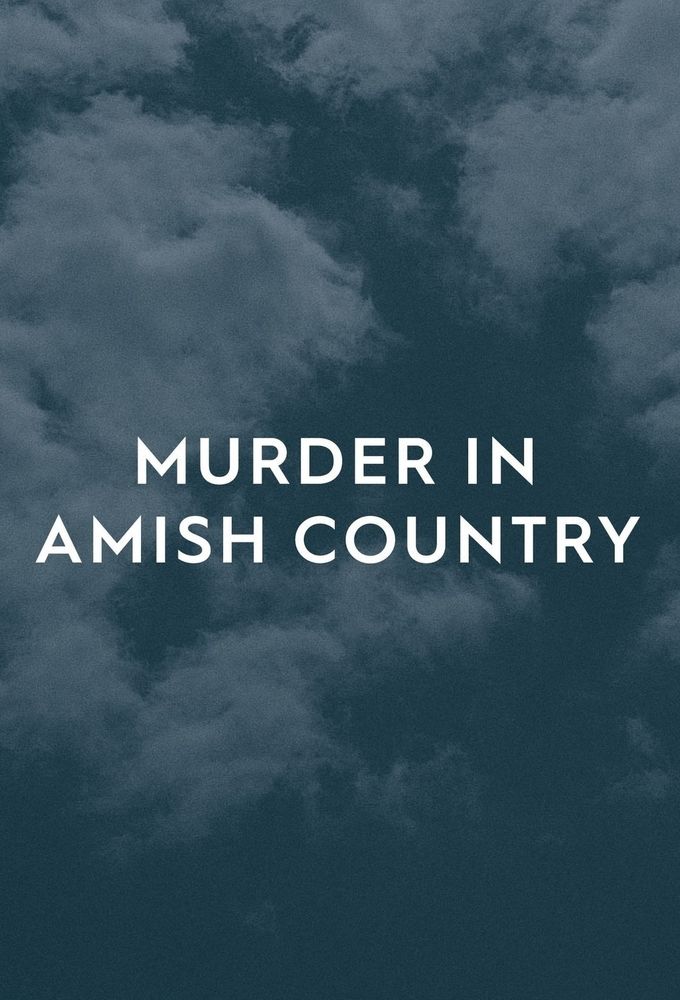 Poster of Murder In Amish Country