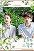 Primary photo for A Boy and Sungreen Primary photo for A Boy and Sungreen