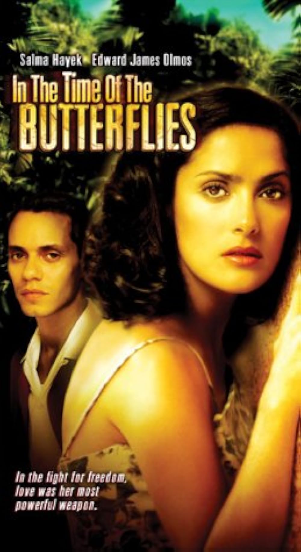 In the Time of the Butterflies (2001)