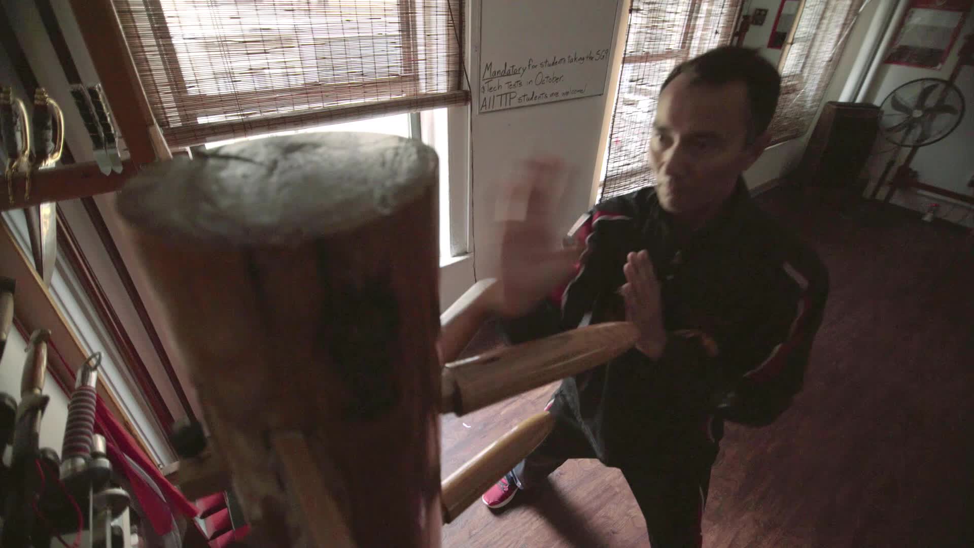 Vincent Lyn Biography