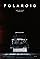 POLAROID poster