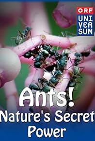 Primary photo for Ants: Nature's Secret Power