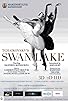 Primary photo for Swan Lake 3D - Live from the Mariinsky Theatre