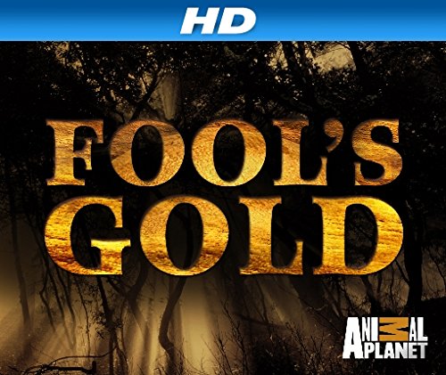Fool's Gold