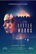 Little Woods (2018) Poster