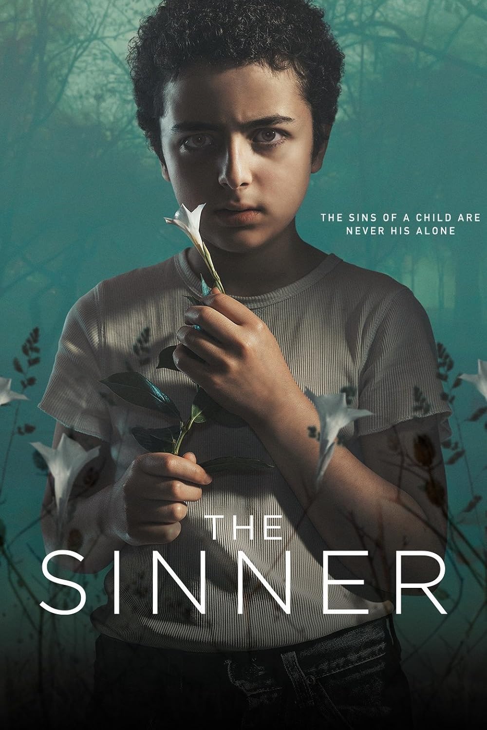 The Sinner (2017) The Sinner (2017)