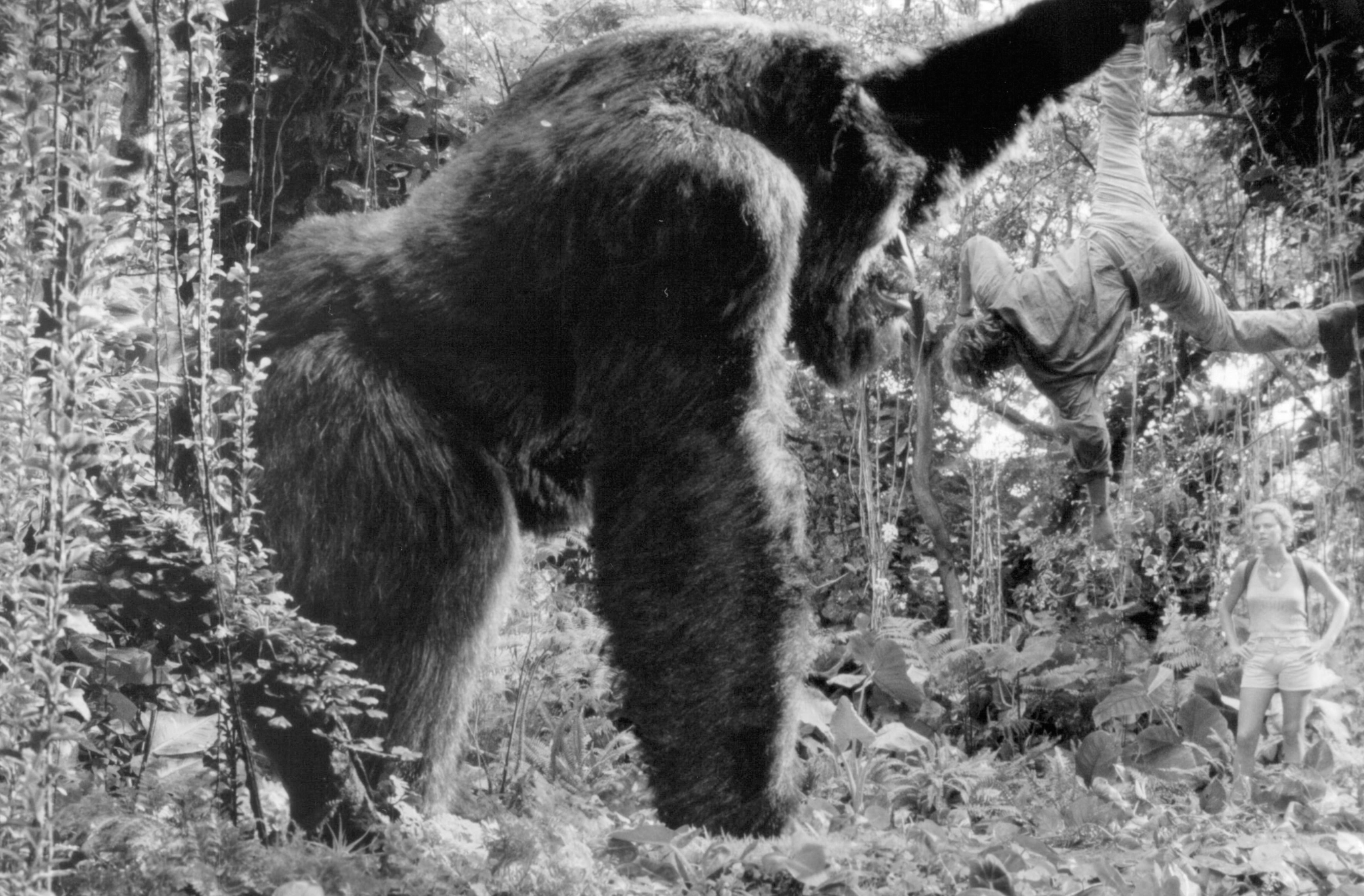 женский бодибилдинг. могучая берди 1996. могучие рейнджеры 2017 зорды. женщина бодибилдер. супер пейзаж.