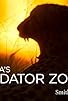 Primary photo for Africa's Predator Zones