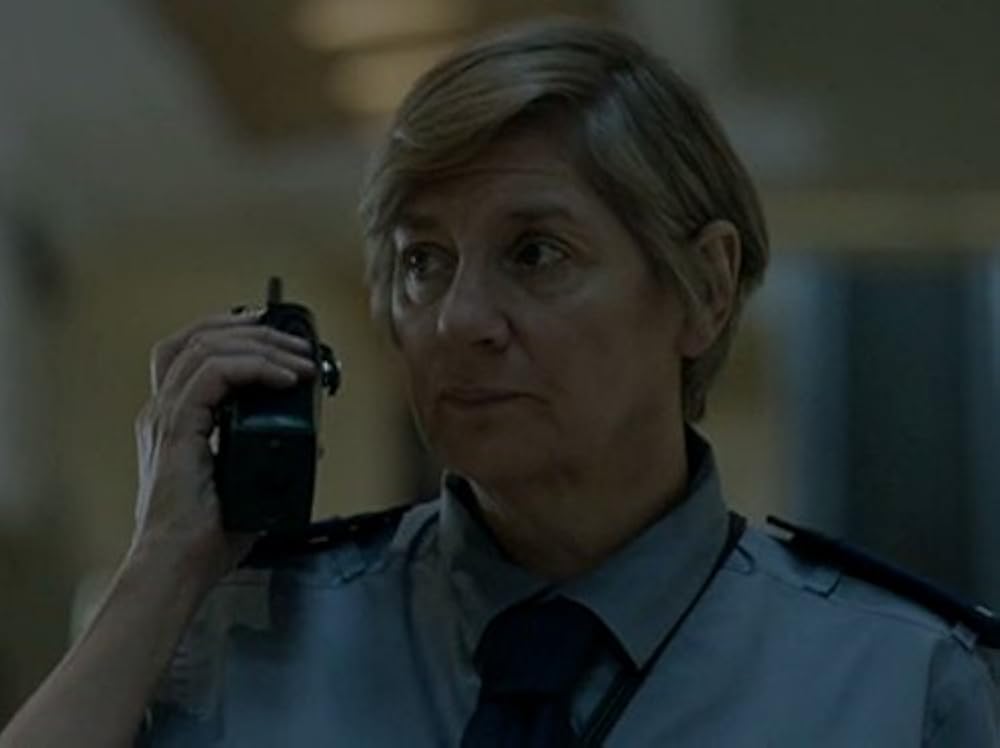 Case Histories (2011)