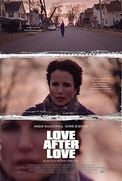Poster of Love After Love