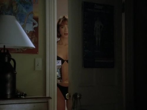 Lauren Holly in Picket Fences (1992)