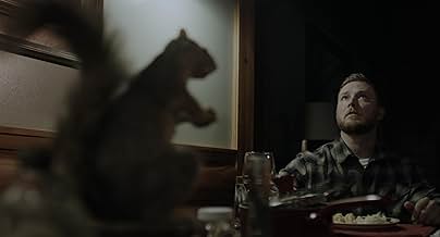 पोस्टर देखें