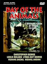 पोस्टर देखें