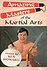 Primary photo for Amazing Masters of Martial Arts Primary photo for Amazing Masters of Martial Arts