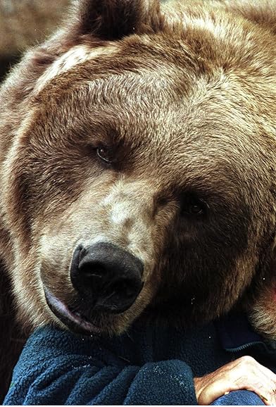 Primary photo for Bart the Bear Primary photo for Bart the Bear