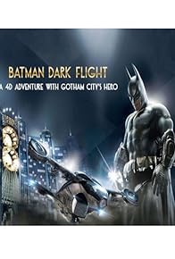 Primary photo for Batman: Dark Flight