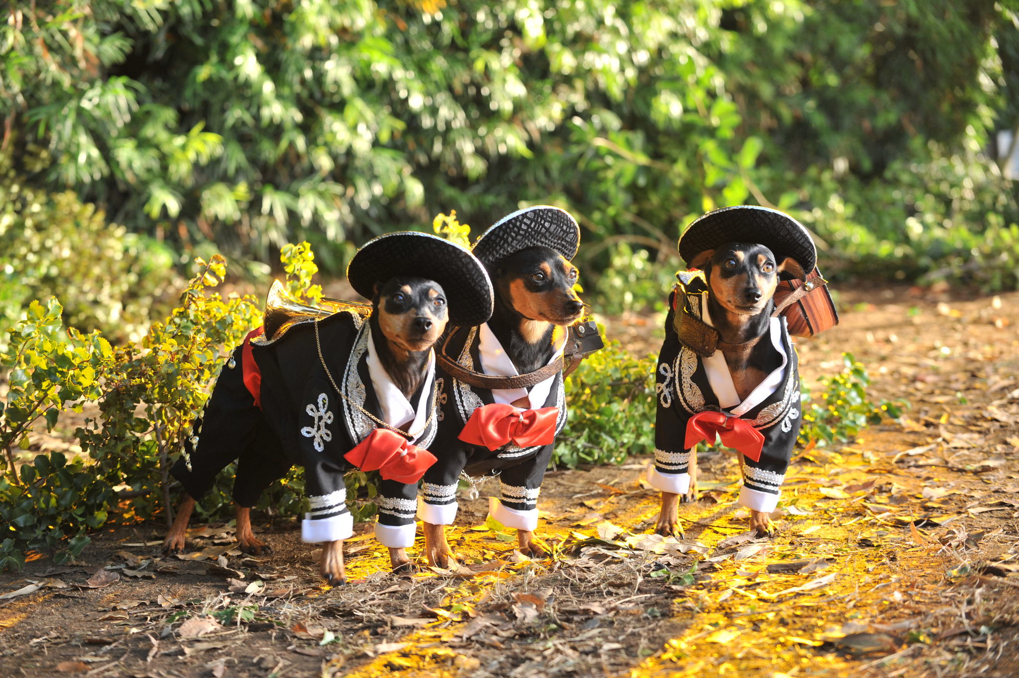 крошка из беверли хиллз 3