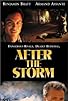 Primary photo for After the Storm Primary photo for After the Storm