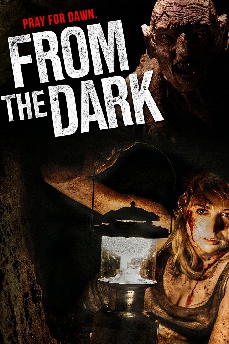 Poster of From The Dark
