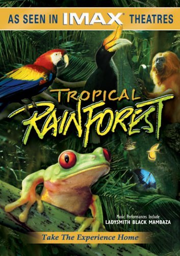 英語版　Tropical  Nature Unfolds The Tropical Rainforest (Nature Unfolds