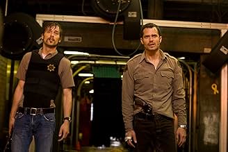 पोस्टर देखें