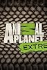 Primary photo for Animal Planet Extreme