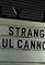 Stranger/Paul Cannon Band's primary photo
