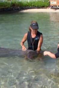 Primary photo for Hawaii Here We Come: Part 2