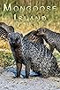 Primary photo for Mongoose Island Primary photo for Mongoose Island