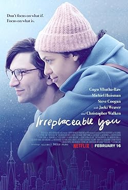 Poster of Irreplaceable You