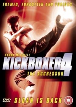 Poster of Kickboxer 4: The Aggressor
