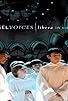 Primary photo for Angel Voices: Libera in Concert Primary photo for Angel Voices: Libera in Concert